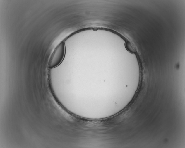 X0000116271285200912211750