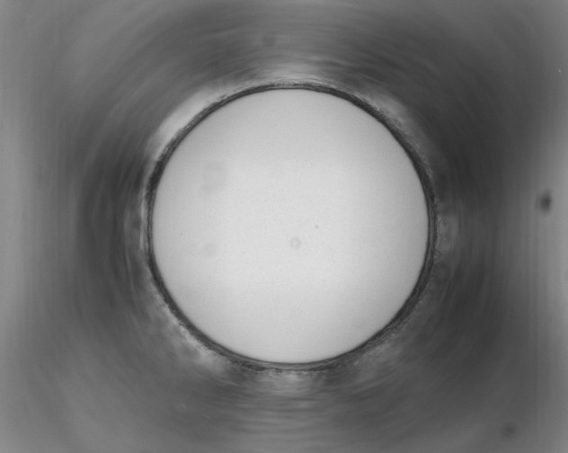X0000116271286200912211750
