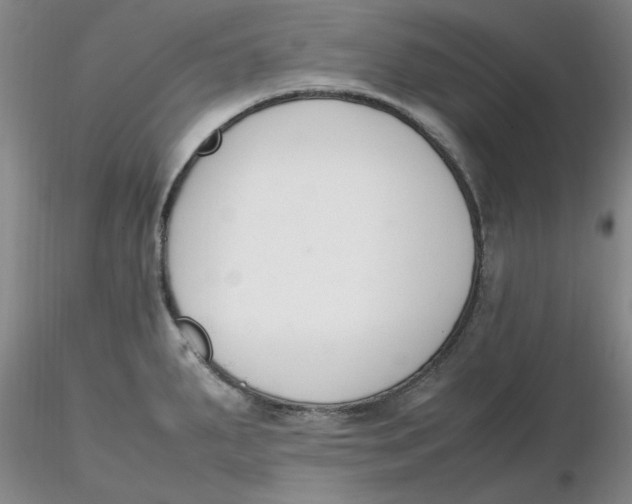 X0000116271287200912211750
