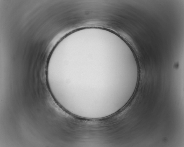 X0000116271288200912211750