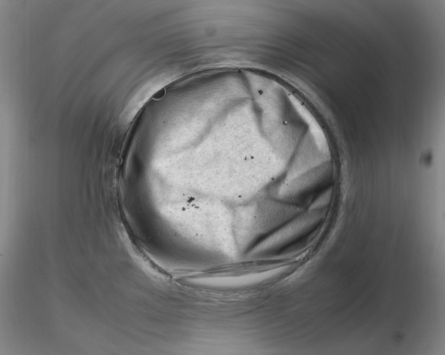 X0000116271289200912211750
