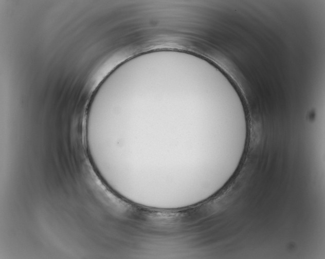 X0000116271290200912211750