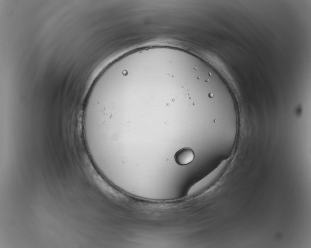 X0000116271292200912211750