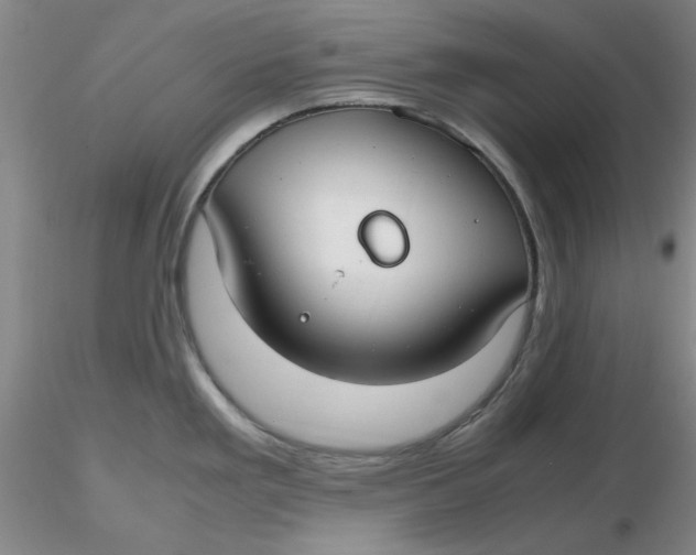 X0000116271293200912211750