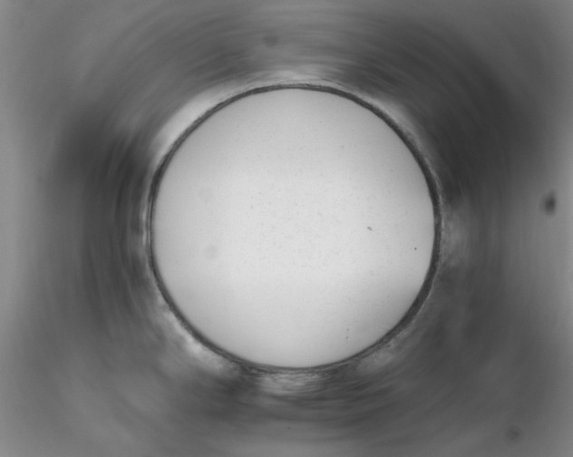 X0000116271294200912211750