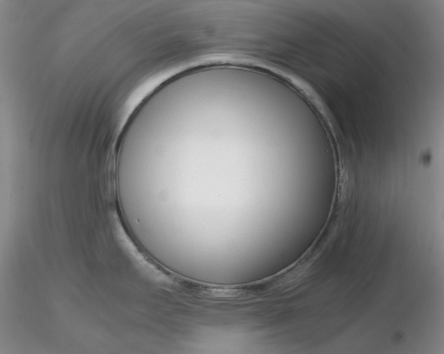 X0000116271295200912211750