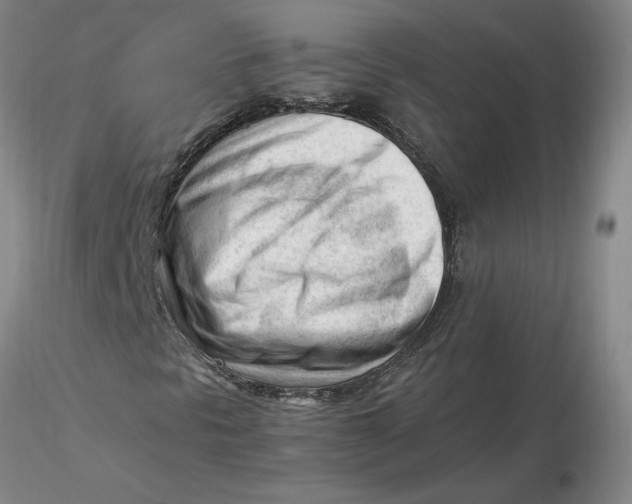 X0000116271297200912211749