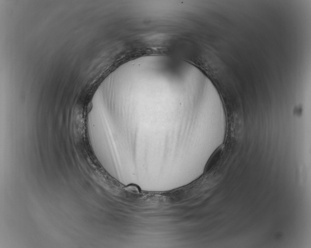 X0000116271298200912211749