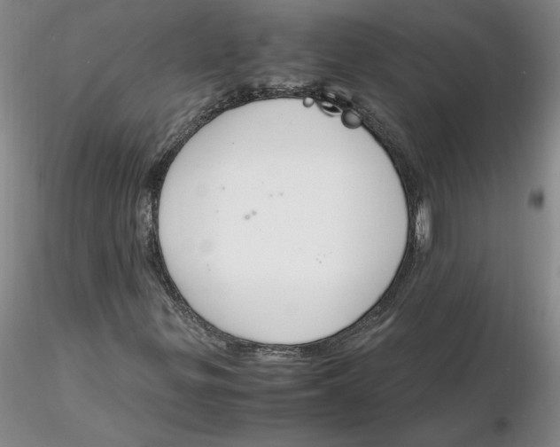 X0000116271299200912211749
