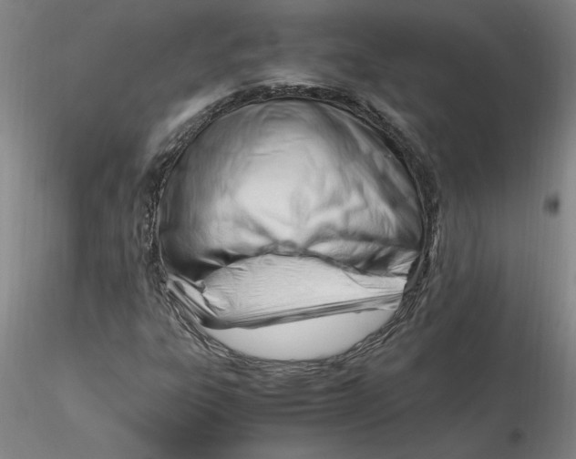 X0000116271303200912211749