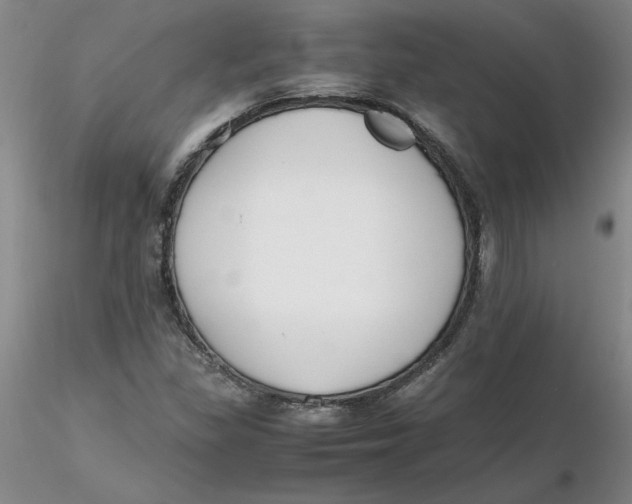 X0000116271309200912211749