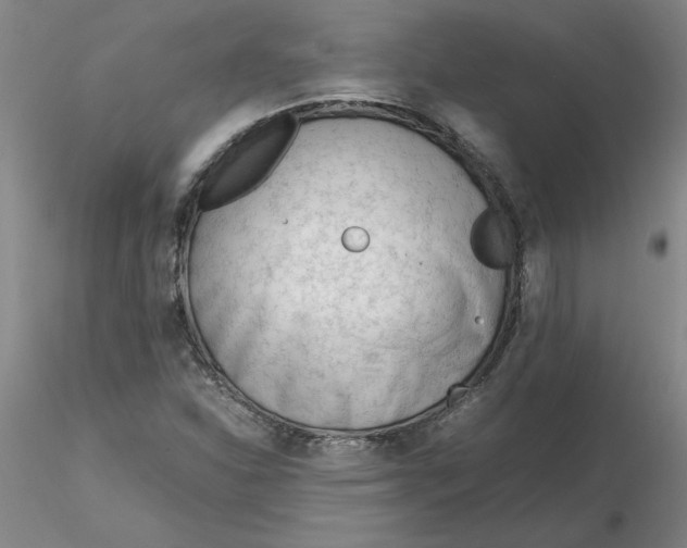 X0000116271310200912211749