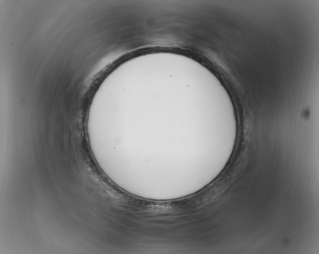 X0000116271315200912211749