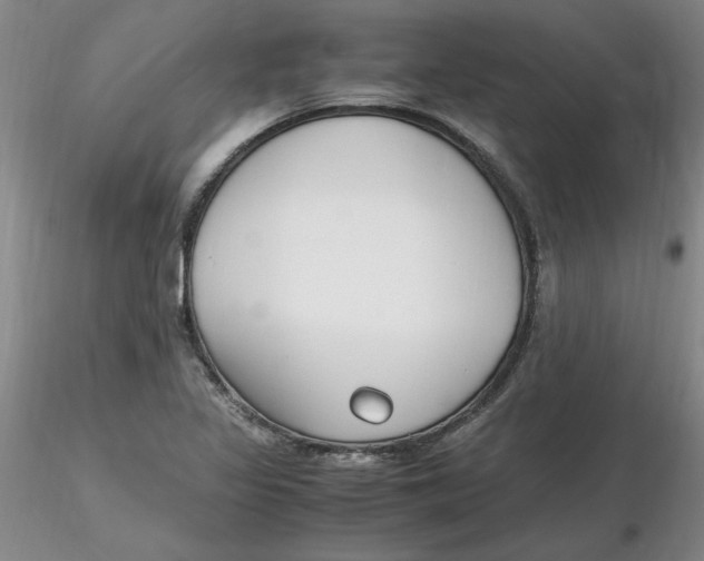X0000116271317200912211749