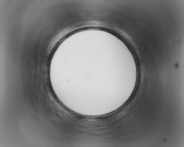 X0000116271318200912211749