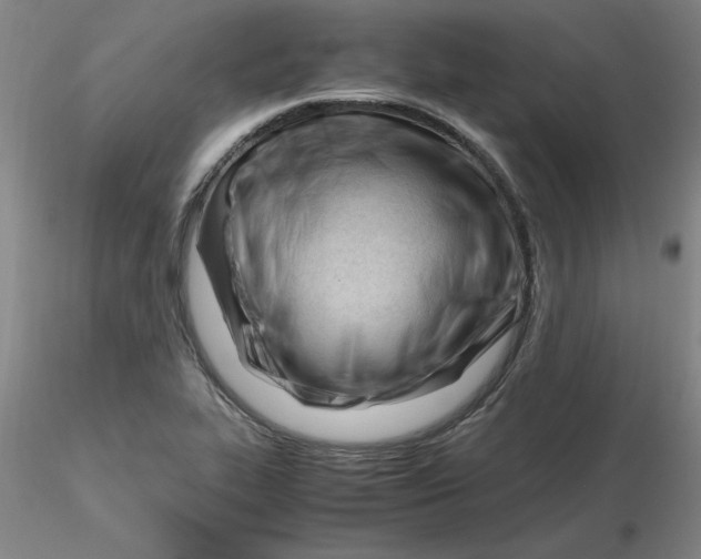 X0000116271319200912211749