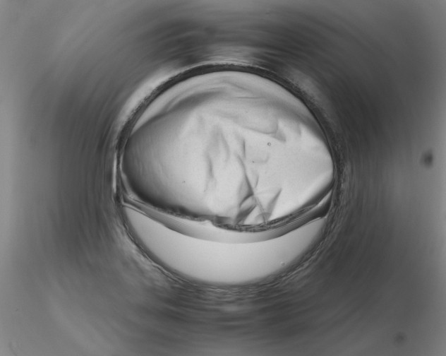 X0000116271323200912211749