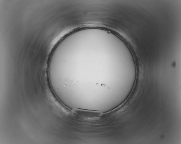 X0000116271325200912211749