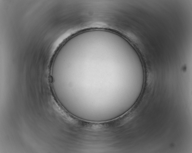 X0000116271326200912211749