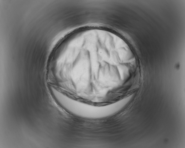 X0000116271327200912211749