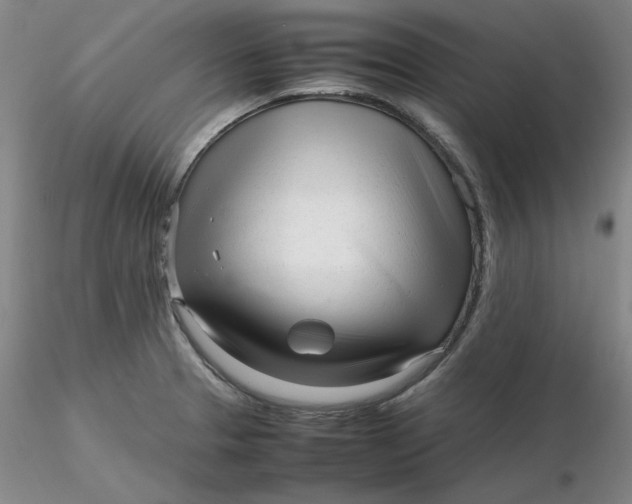 X0000116271329200912211749