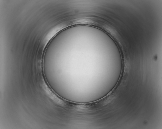 X0000116271330200912211749