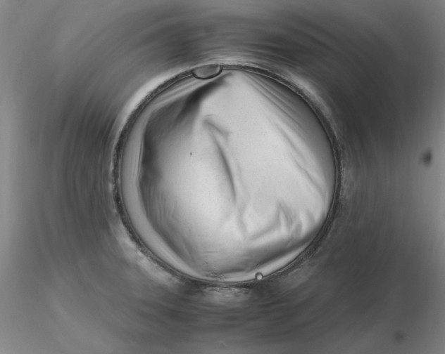 X0000116271331200912211749