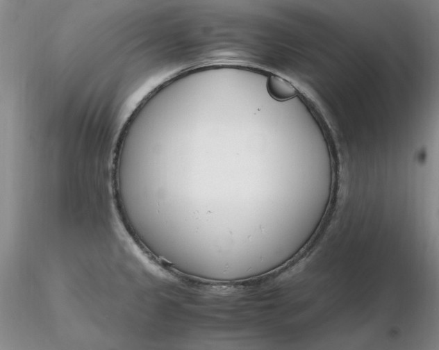 X0000116271333200912211750
