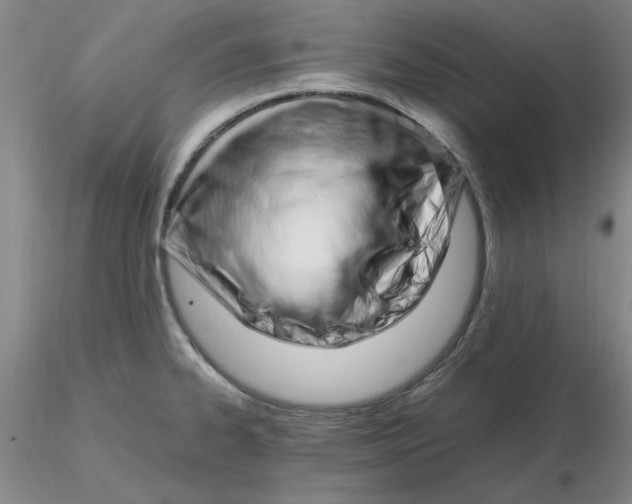 X0000116271334200912211750