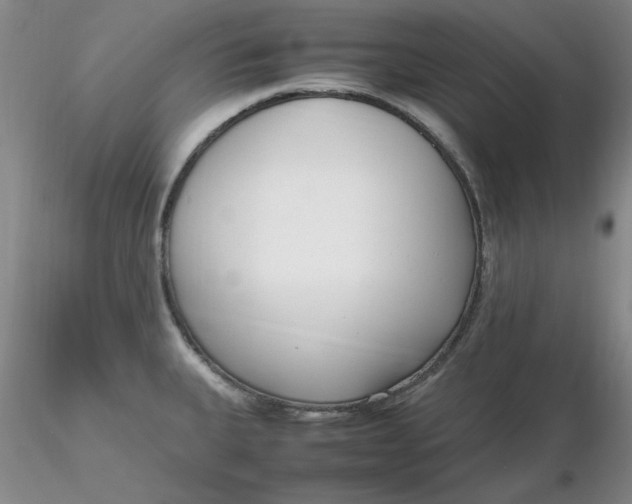 X0000116271335200912211750