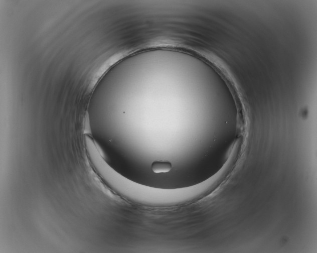 X0000116271337200912211750