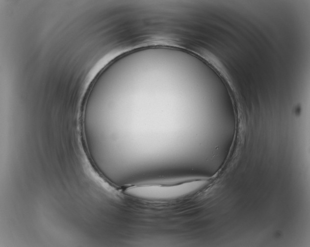 X0000116271339200912211750