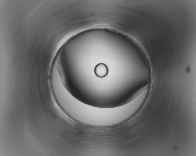 X0000116271342200912211750