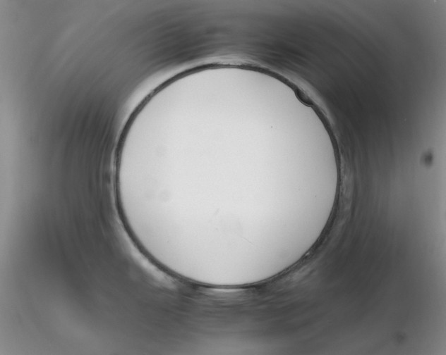 X0000116271343200912211750