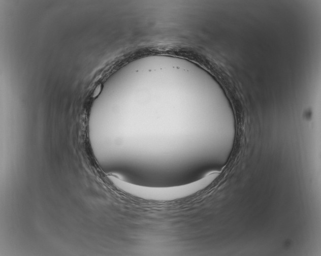 X0000116271349200912211749