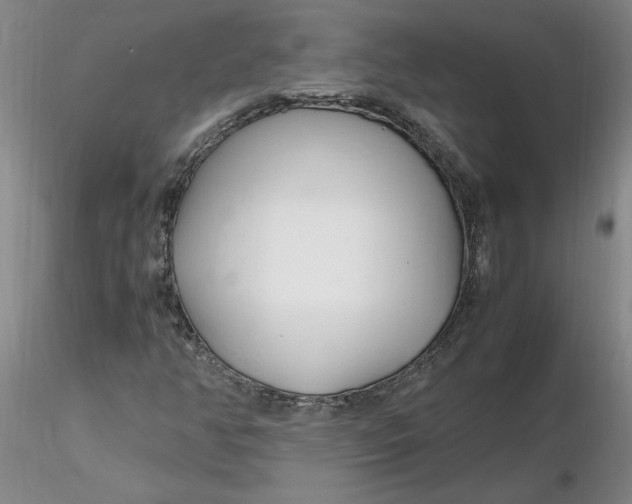 X0000116271350200912211749