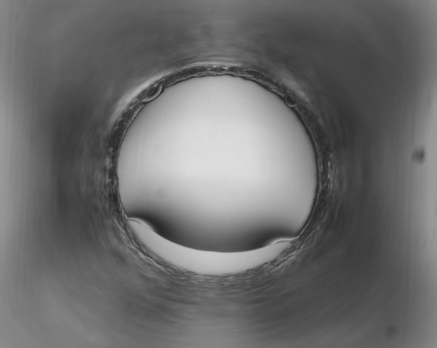 X0000116271352200912211749