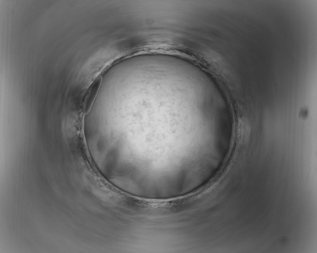 X0000116271353200912211749