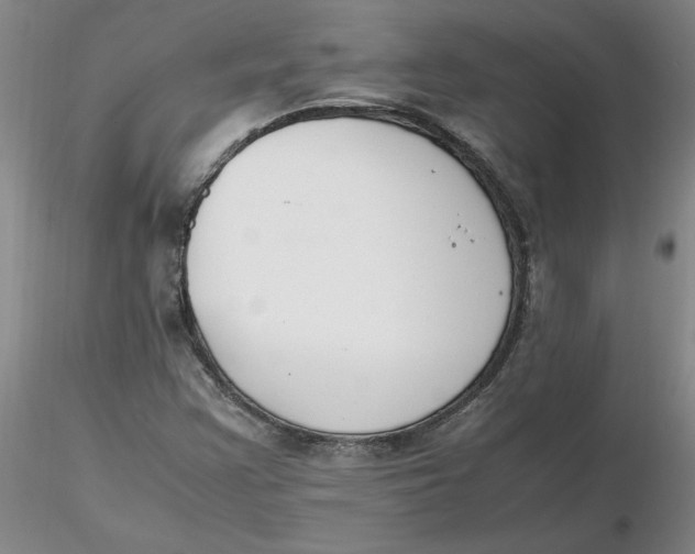 X0000116271355200912211749