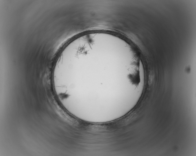 X0000116271356200912211749