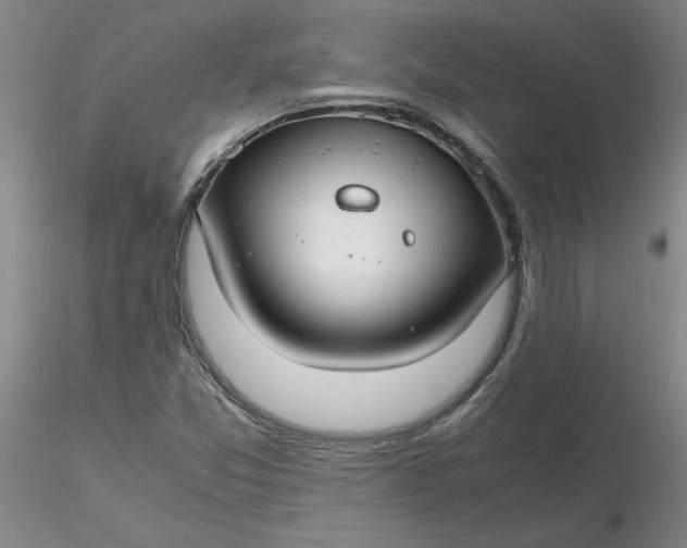 X0000116271357200912211749