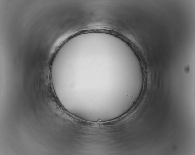 X0000116271358200912211749