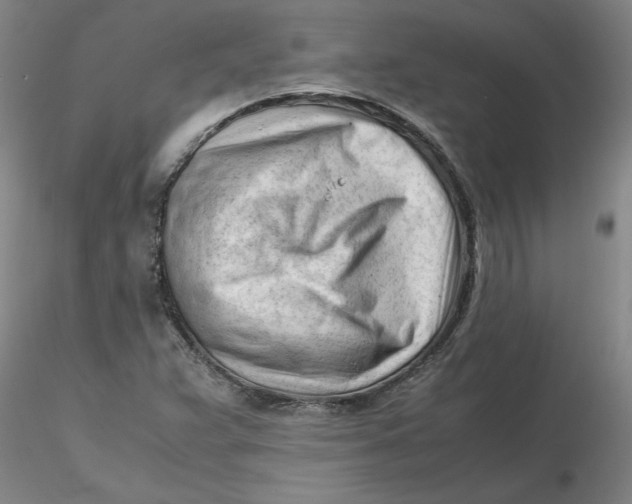 X0000116271359200912211749