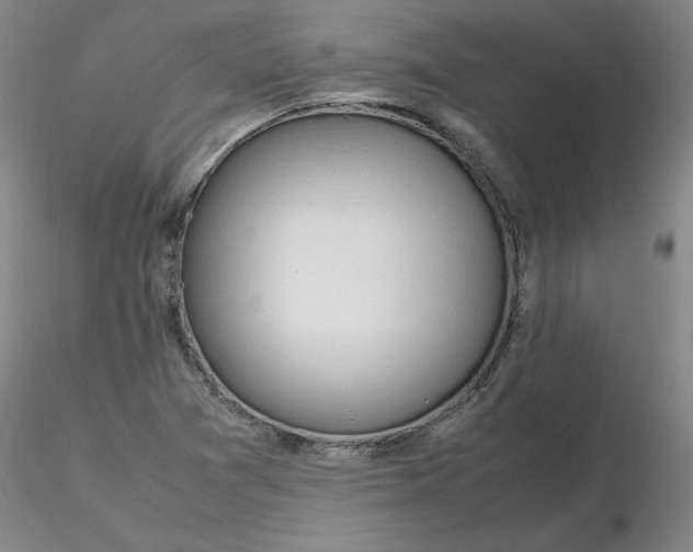 X0000116271361200912211749