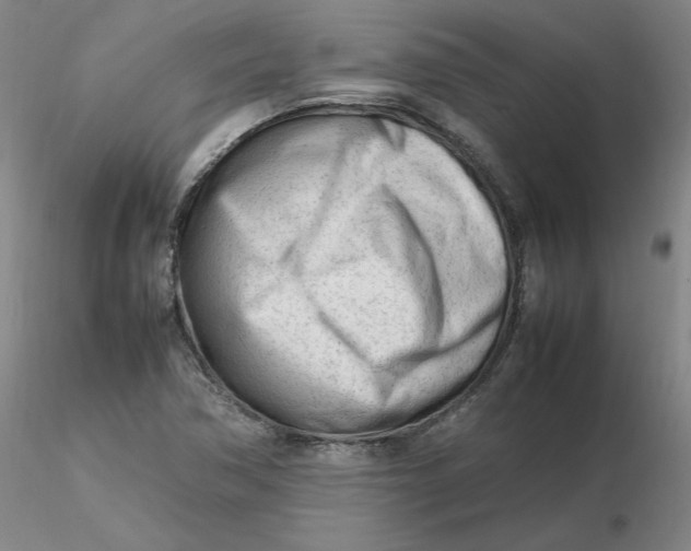 X0000116271362200912211749