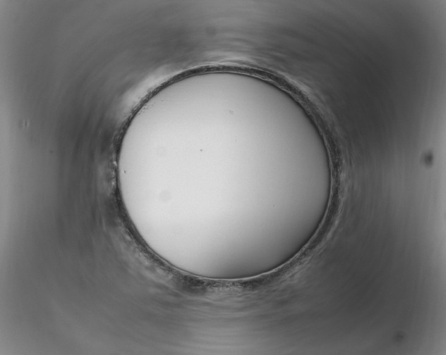 X0000116271363200912211749