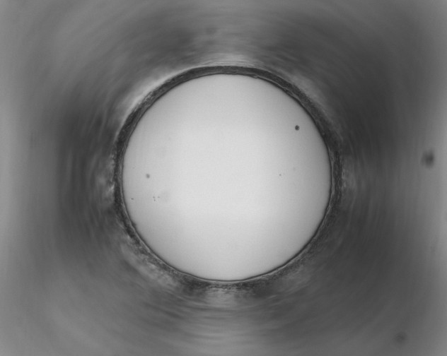 X0000116271364200912211749