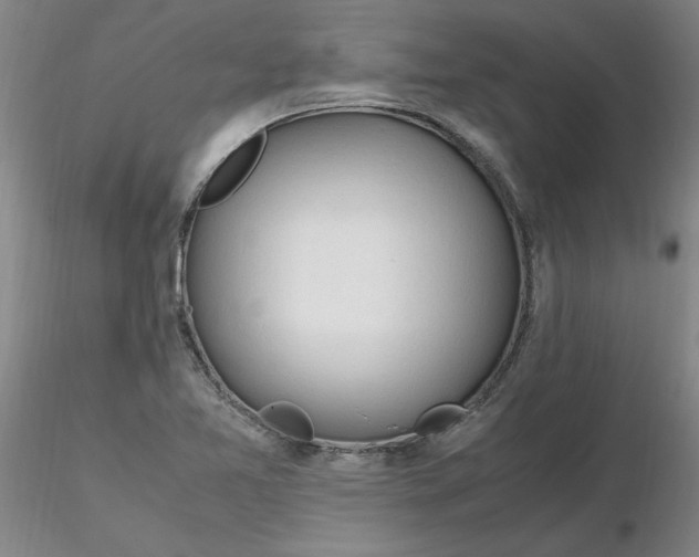 X0000116271365200912211749