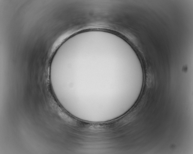 X0000116271366200912211749