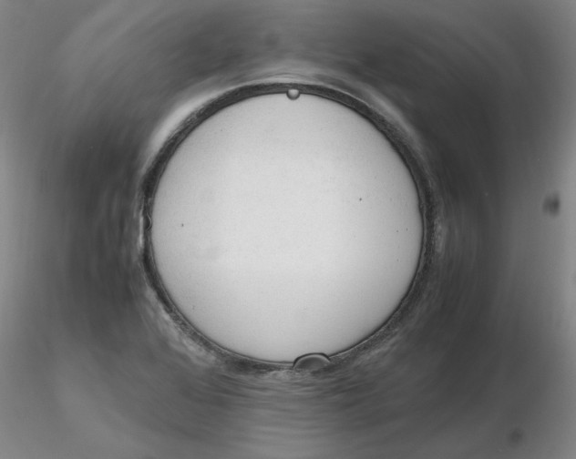 X0000116271368200912211749